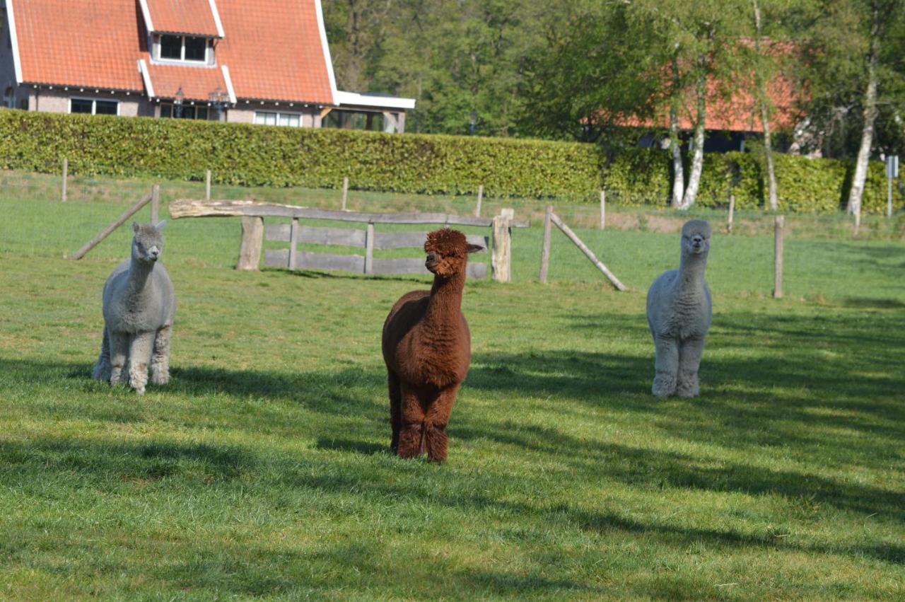 Erve Grootenhuys Deurningen Kültér fotó